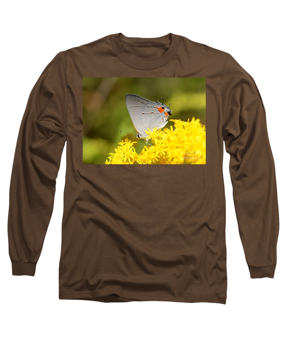 Butterfly Long Sleeve T-Shirt featuring the photograph Grey Hairstreak Butterfly by Kathy Baccari