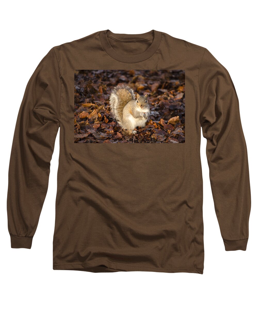 Squirrel Long Sleeve T-Shirt featuring the photograph Grey squirrel by Spikey Mouse Photography