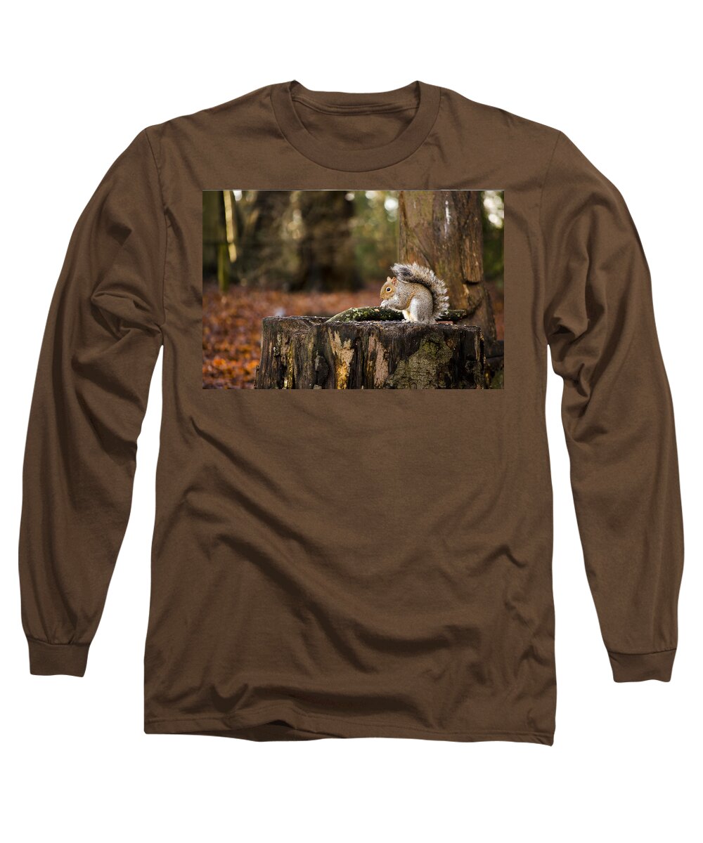 Squirrel Long Sleeve T-Shirt featuring the photograph Grey Squirrel on a Stump by Spikey Mouse Photography