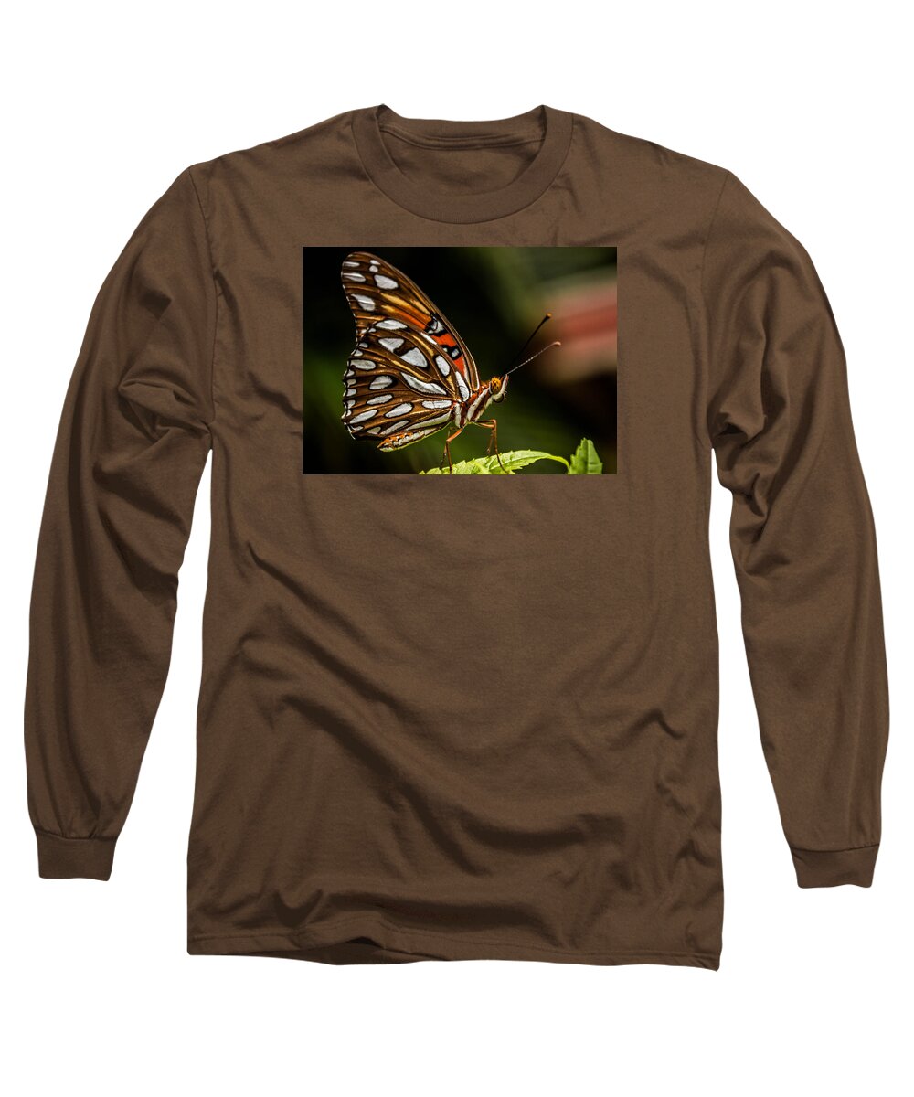 Butterfly Long Sleeve T-Shirt featuring the photograph Gulf Fritillary Butterfly by George Kenhan