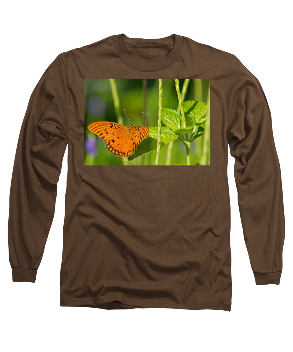 Butterfly Long Sleeve T-Shirt featuring the photograph Gulf Fritillary by Jane Luxton