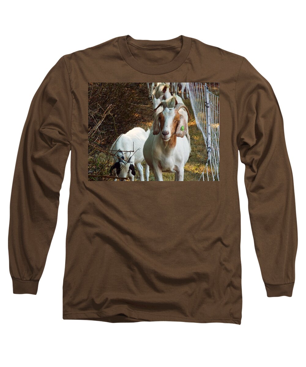 Goat Long Sleeve T-Shirt featuring the photograph Happy Goat by Cathy Anderson