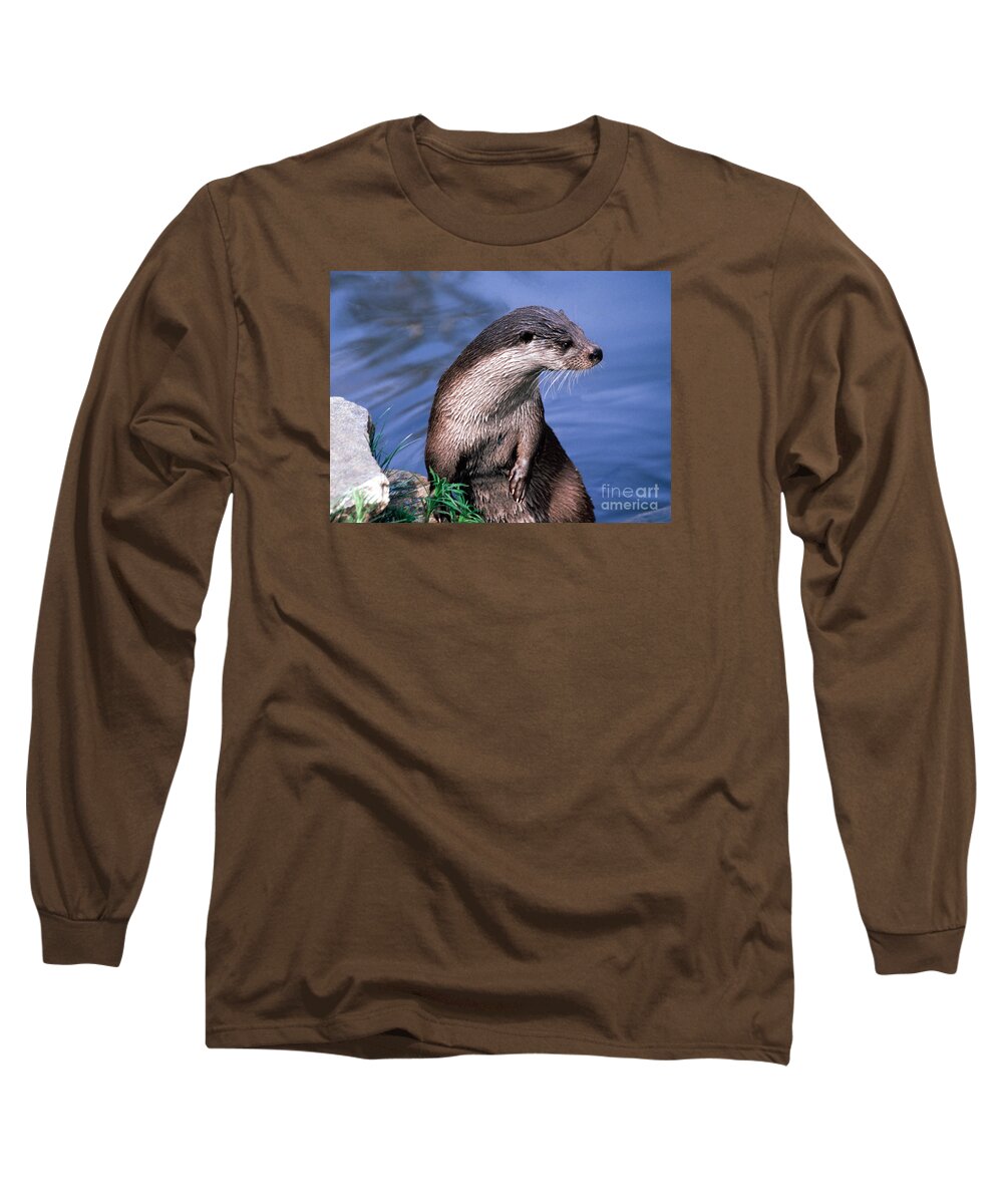   Long Sleeve T-Shirt featuring the photograph Inquisitive Otter by Liz Leyden
