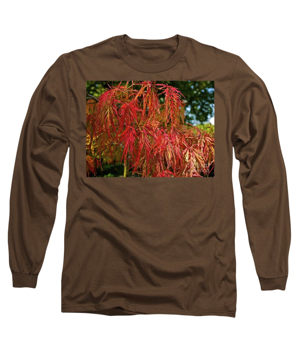 Tree Long Sleeve T-Shirt featuring the photograph Japanese Maple by Linda Bianic