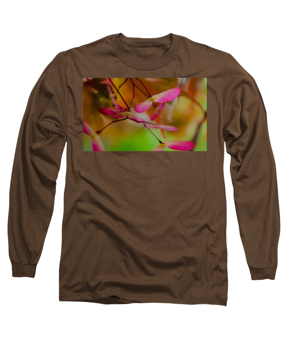 Japanese Maple Long Sleeve T-Shirt featuring the photograph Japanese Maple Seedling by Brenda Jacobs
