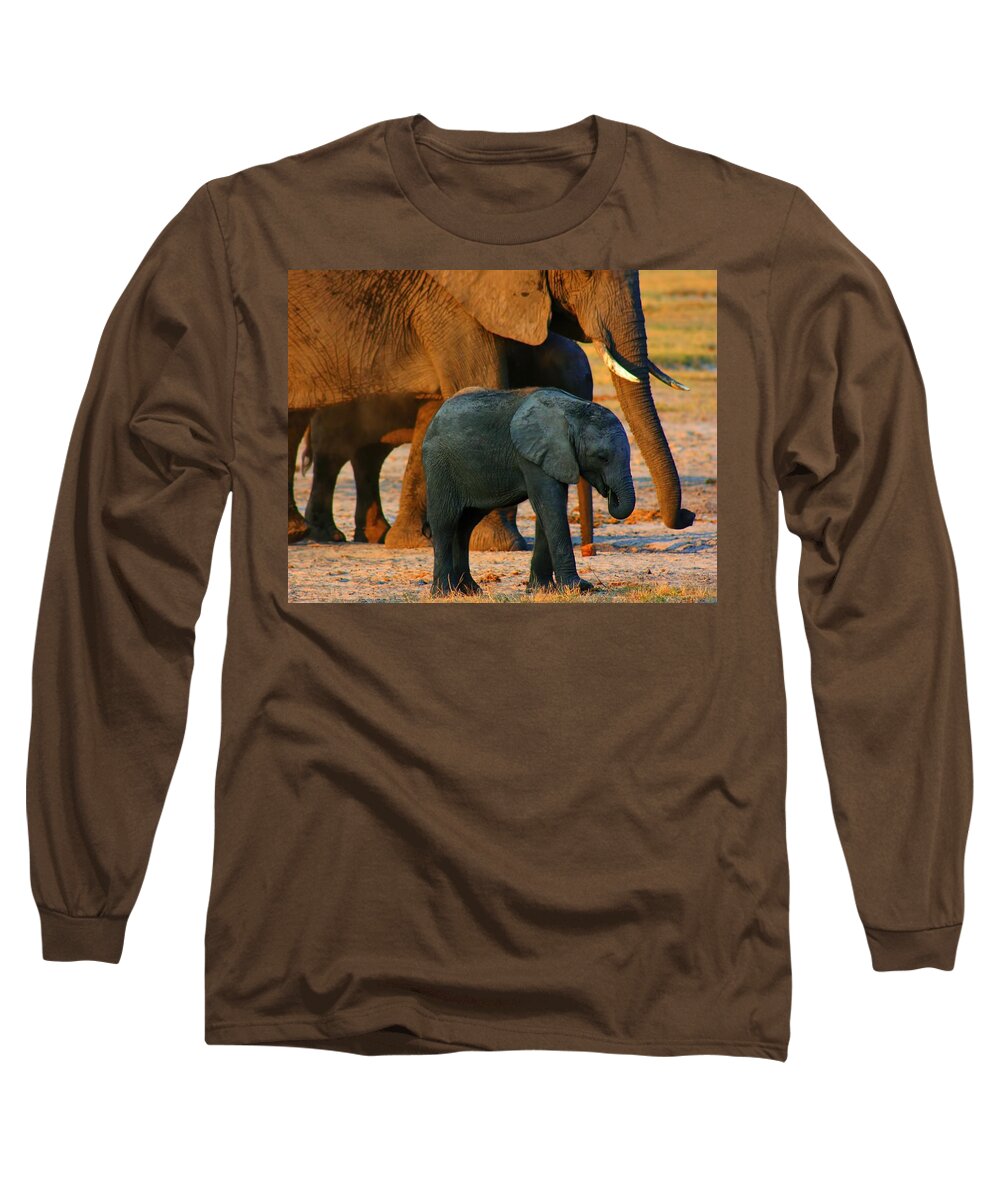 Elephants Long Sleeve T-Shirt featuring the photograph Kalahari Elephants by Amanda Stadther