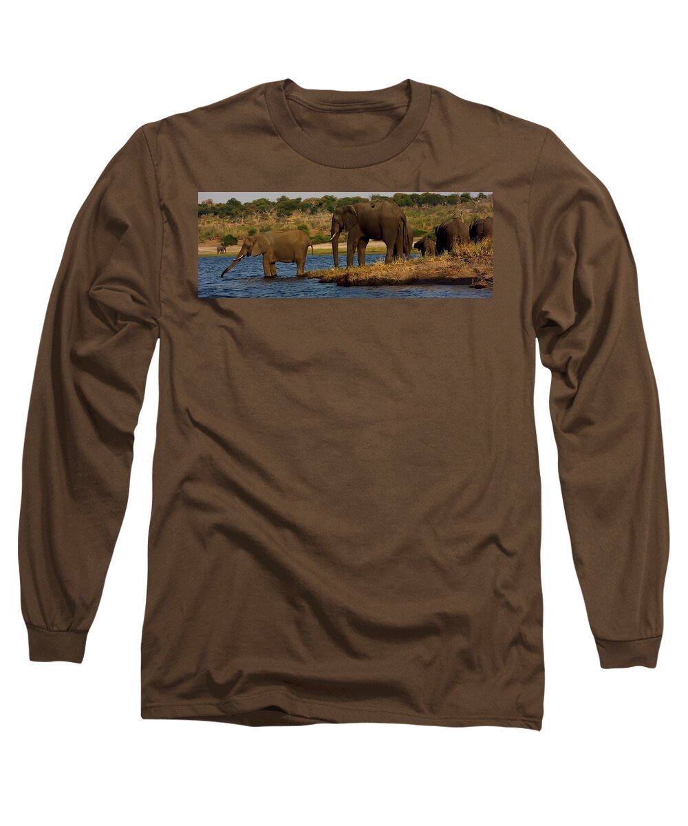 Elephants Long Sleeve T-Shirt featuring the photograph Kalahari Elephants Preparing to Cross Chobe River by Amanda Stadther