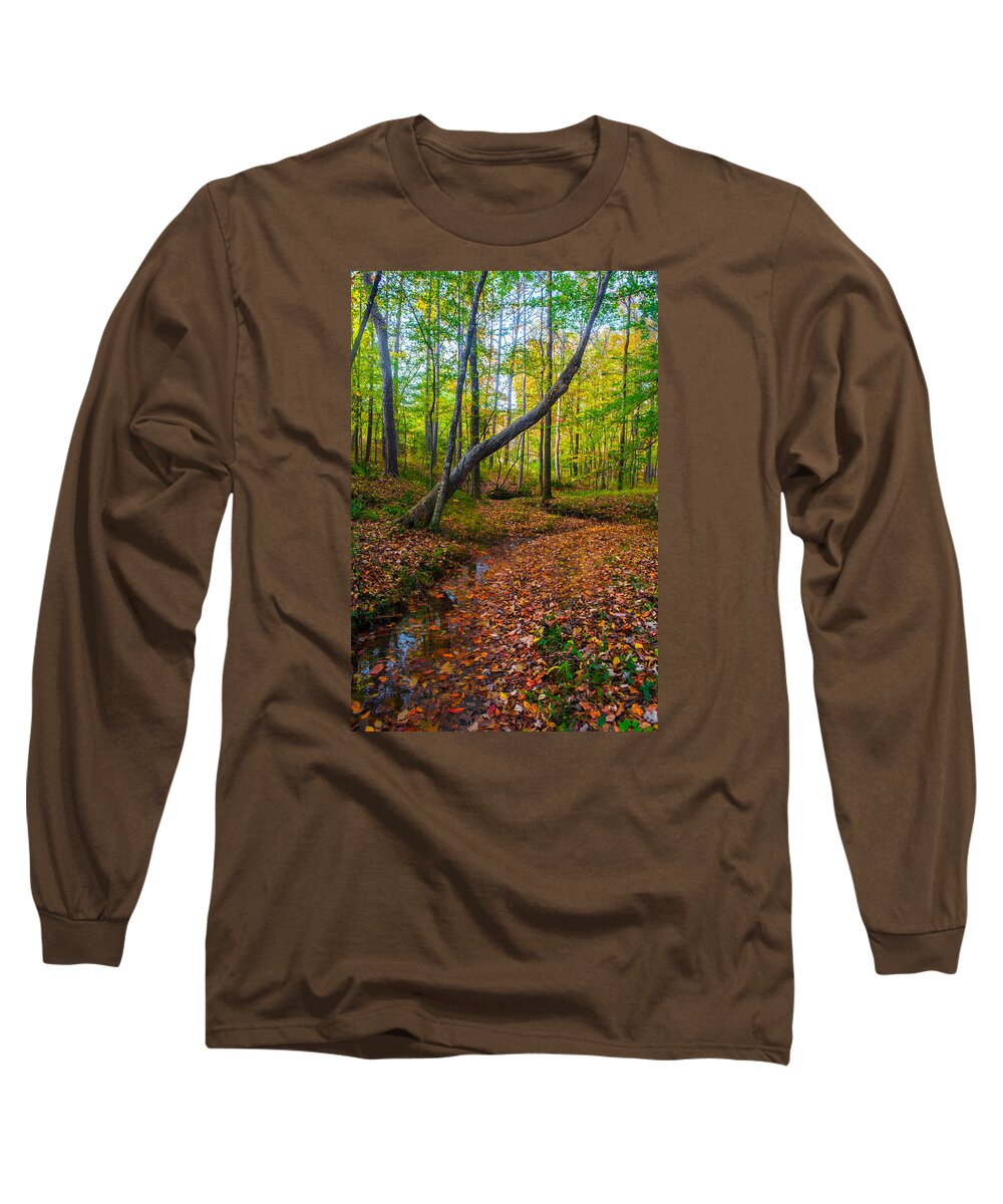 Magical Long Sleeve T-Shirt featuring the photograph Land of the Fairies by Parker Cunningham