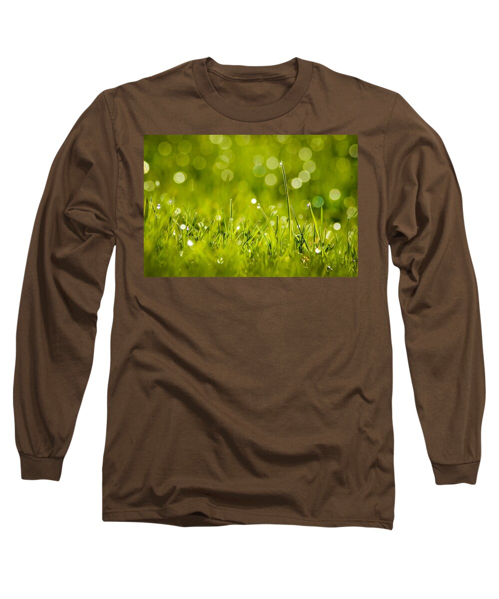 Bill Pevlor Long Sleeve T-Shirt featuring the photograph Lawn Twinklers by Bill Pevlor