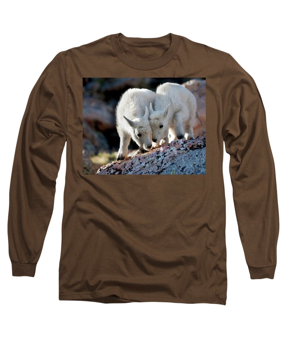 Baby Goat; Mountain Goat Baby; Happy; Joy; Nature; Brothers Long Sleeve T-Shirt featuring the photograph Lean On Me by Jim Garrison
