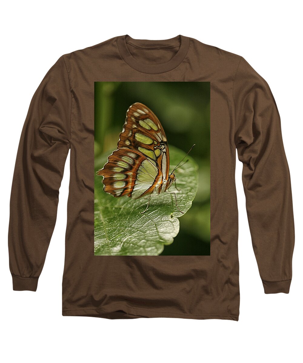Cindi Ressler Long Sleeve T-Shirt featuring the photograph Malachite Butterfly by Cindi Ressler
