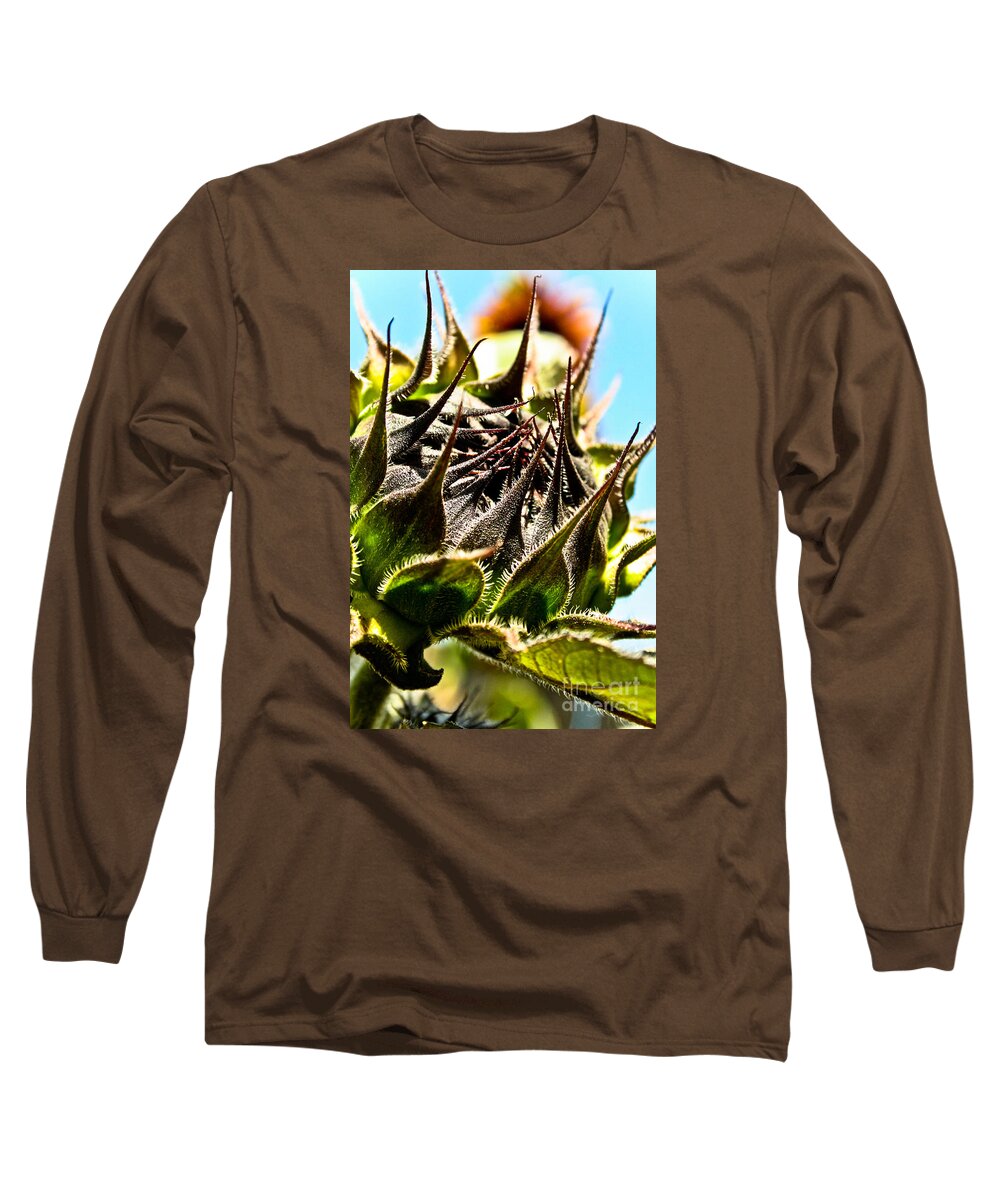 Sun Long Sleeve T-Shirt featuring the photograph Mexican Sunflower by Joel Loftus