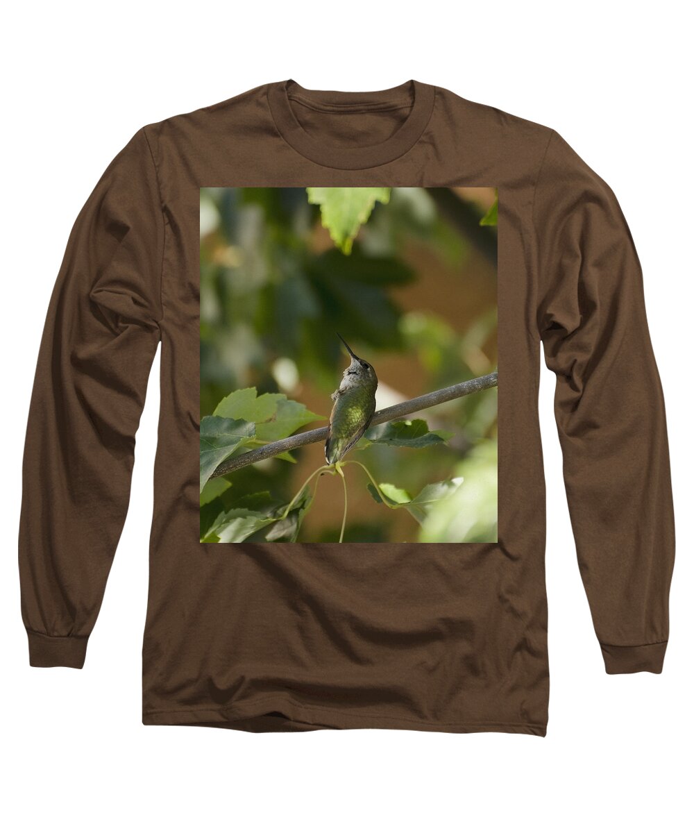 Bird Long Sleeve T-Shirt featuring the photograph My green colored hummingbird 3 by Teri Schuster