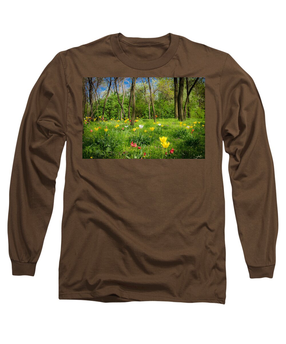Flowers Long Sleeve T-Shirt featuring the photograph Mystic Forest With Flowers by Andreas Berthold