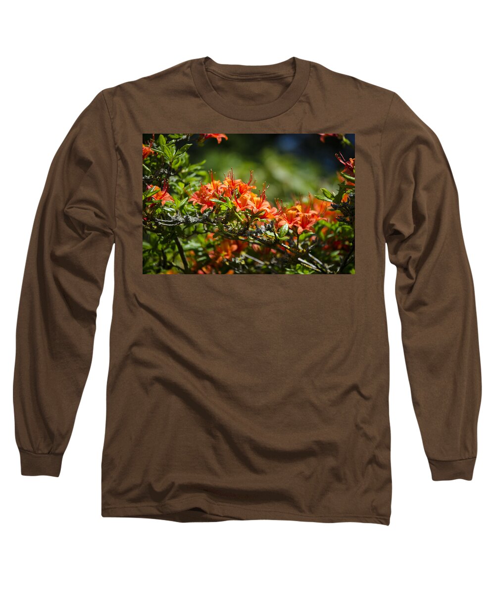 Orange Long Sleeve T-Shirt featuring the photograph Orange Rhododendron by Spikey Mouse Photography