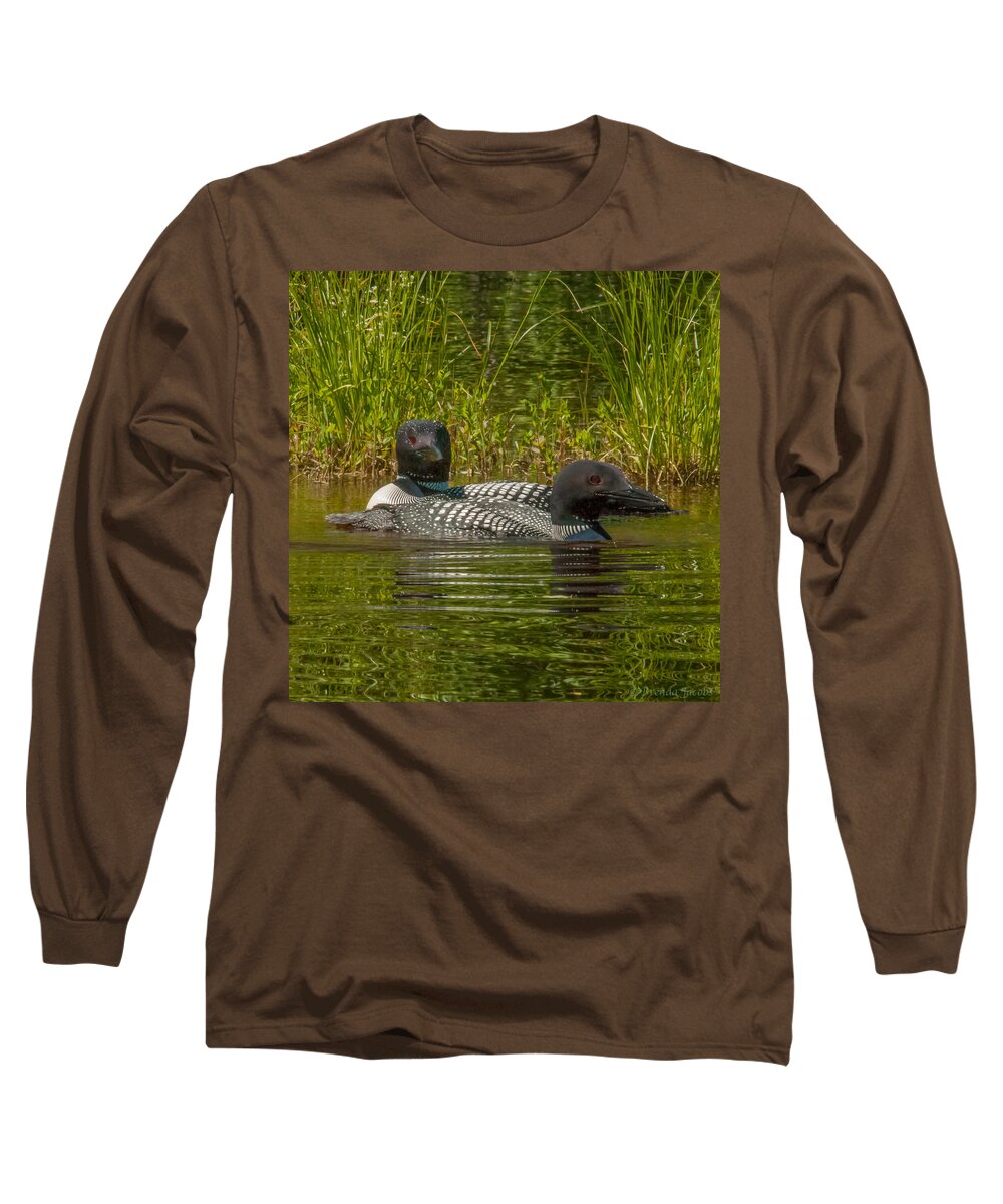 Birds Long Sleeve T-Shirt featuring the photograph Pair of Common Loons by Brenda Jacobs