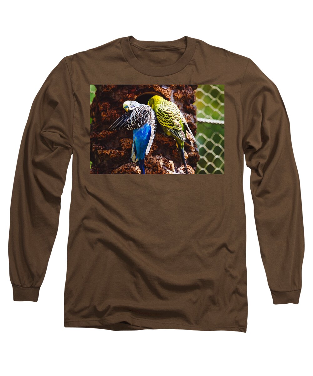 Parakeet Long Sleeve T-Shirt featuring the photograph Parakeets by Pati Photography
