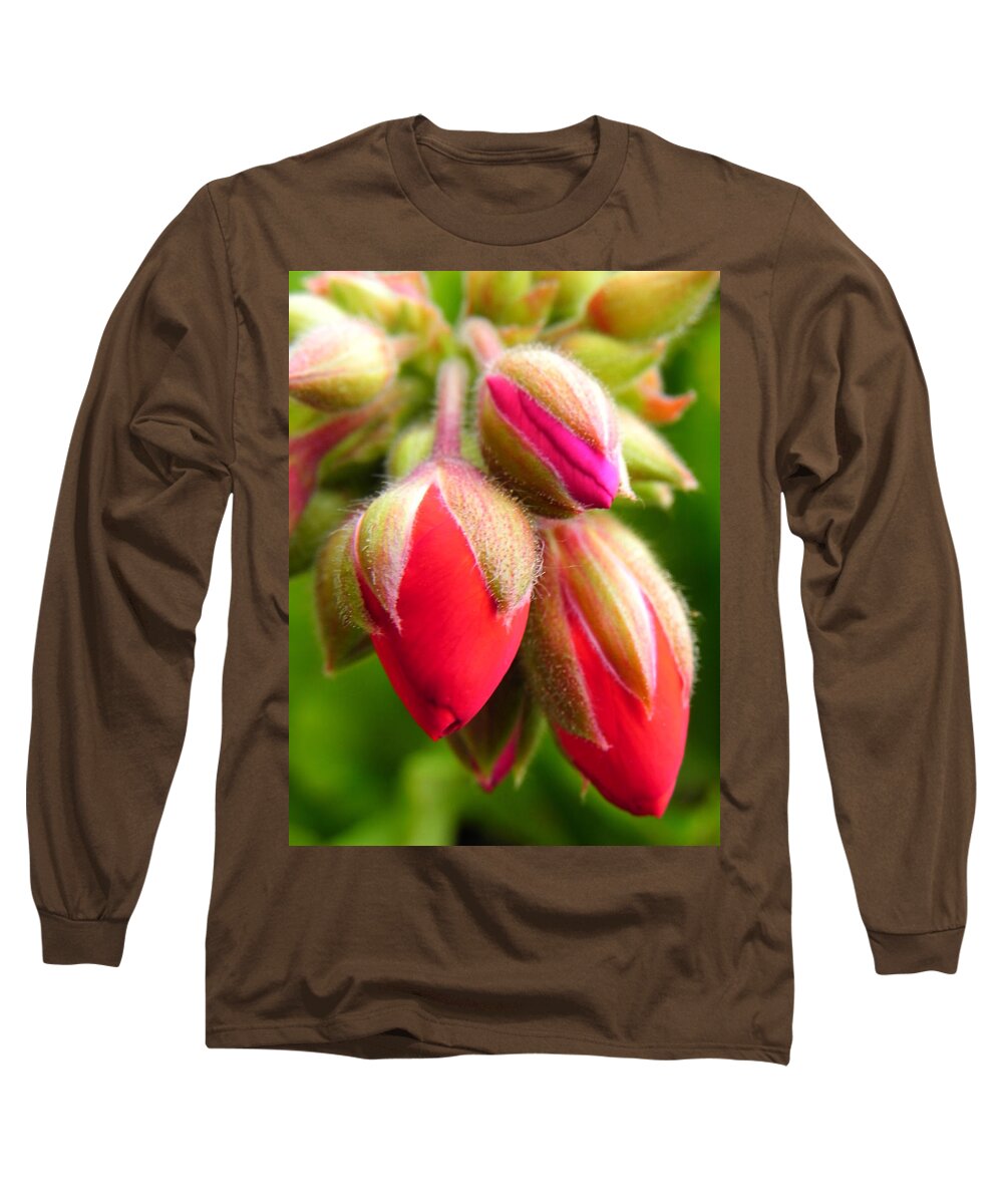 Buds Long Sleeve T-Shirt featuring the photograph Pending Beauty by Deb Halloran