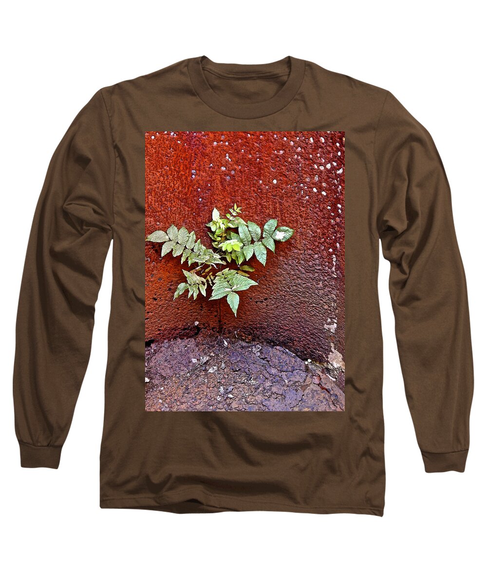 Plant Long Sleeve T-Shirt featuring the digital art Persistence by Gary Olsen-Hasek