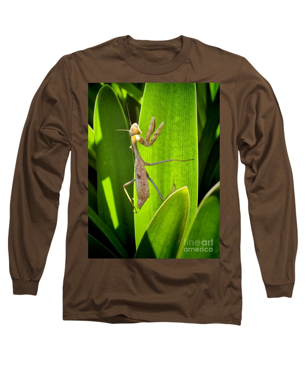 Praying Long Sleeve T-Shirt featuring the photograph Praying Mantis by Kasia Bitner