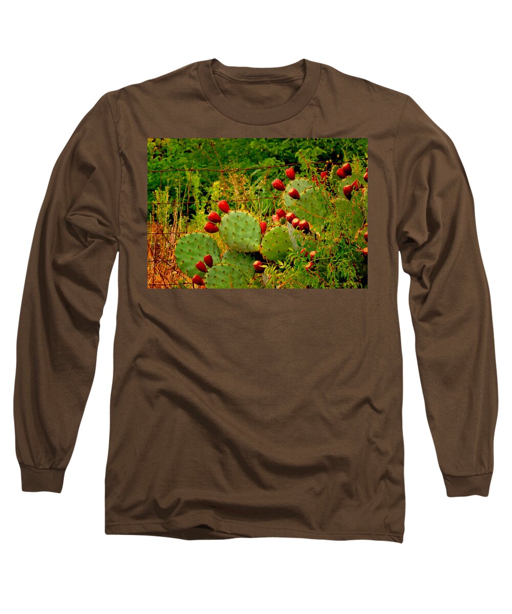 Cactus Long Sleeve T-Shirt featuring the photograph Prickly Pear Cactus by Bonnie Willis