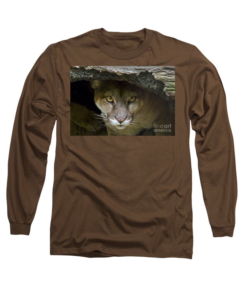 Wildlife Long Sleeve T-Shirt featuring the photograph Puma by Bob Hislop