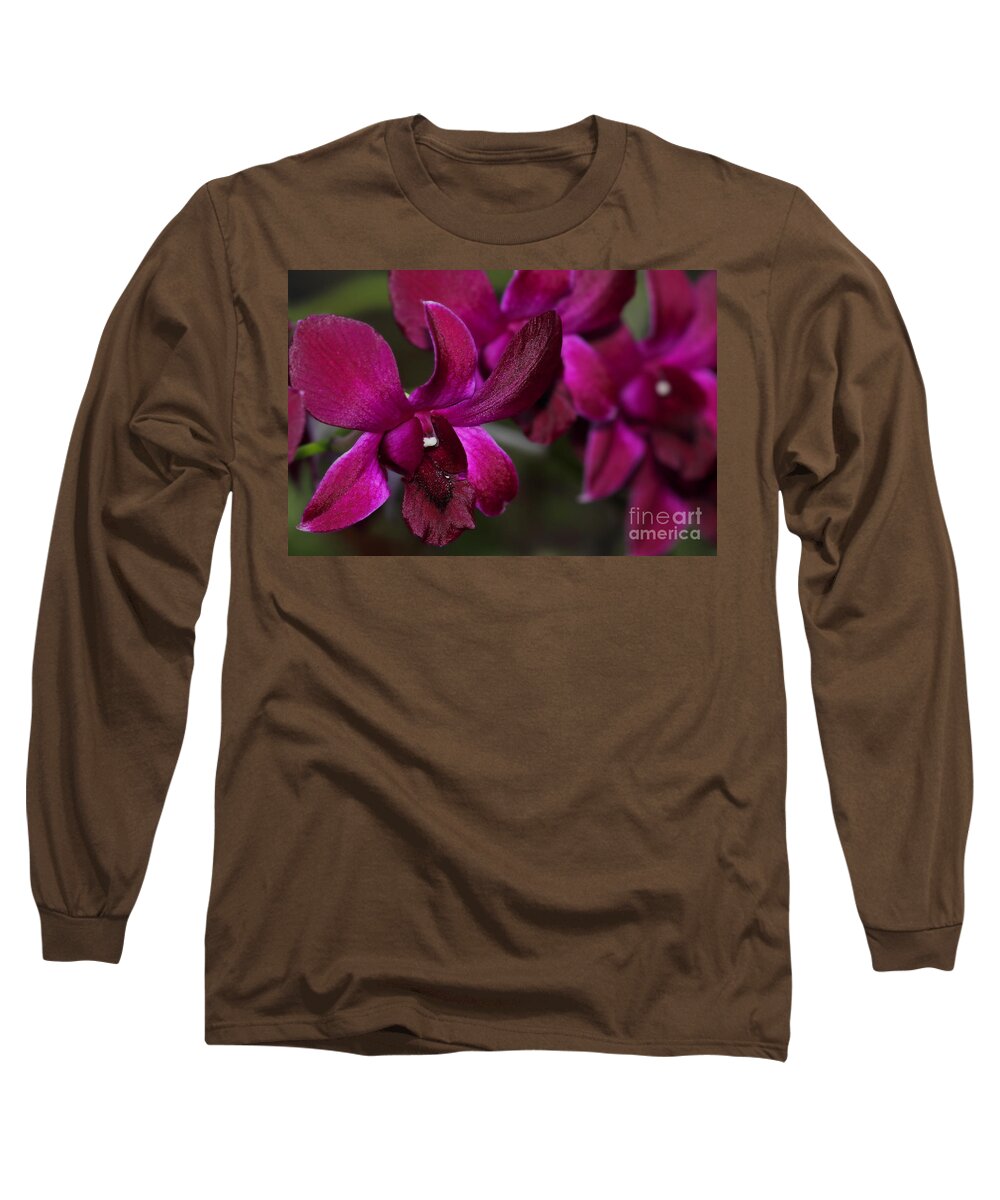 Purple Long Sleeve T-Shirt featuring the photograph Purple Orchid by Meg Rousher