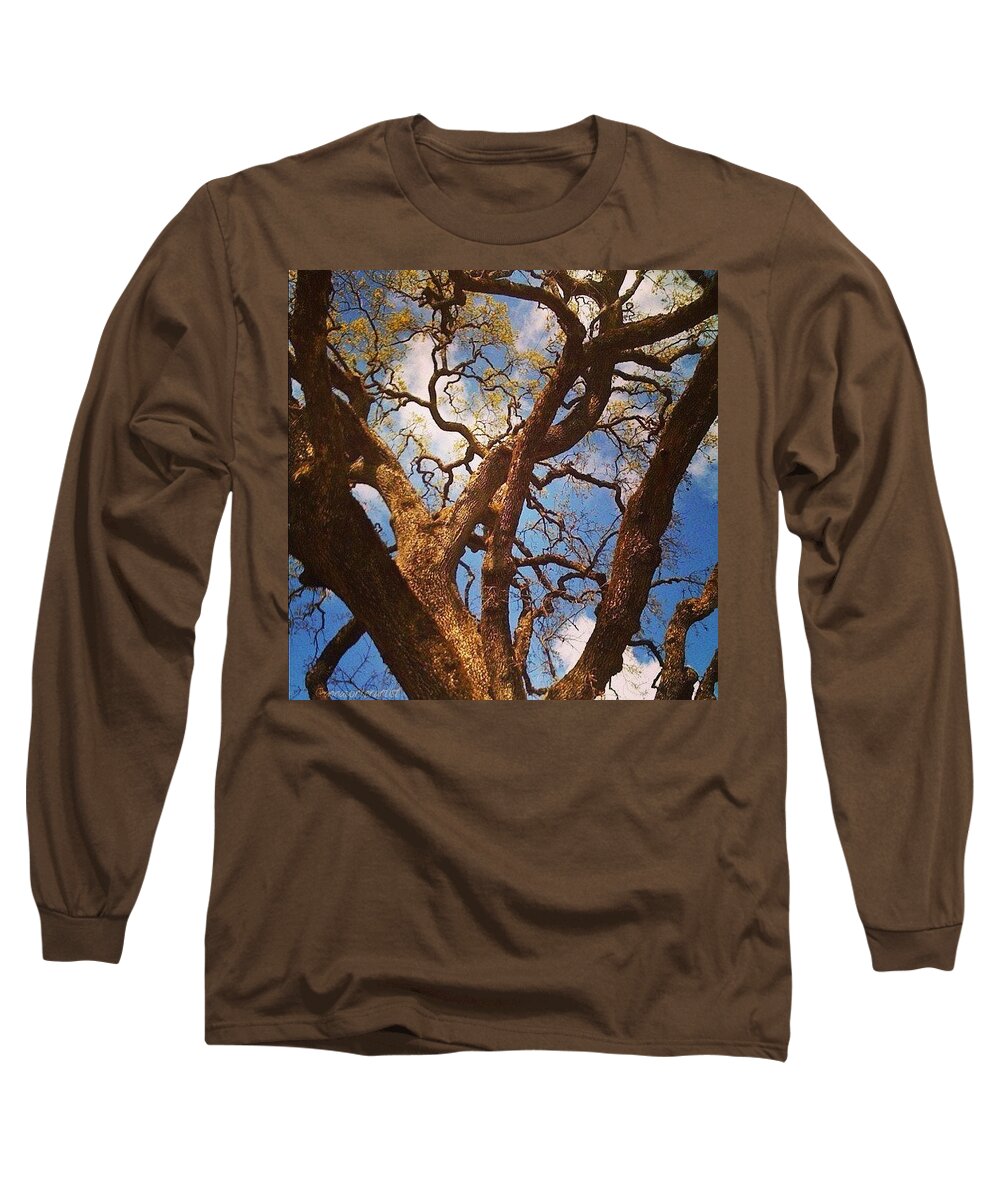 Oak Long Sleeve T-Shirt featuring the photograph Picnic Under the Giant Oak Tree by Anna Porter