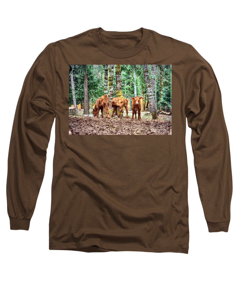  Long Sleeve T-Shirt featuring the pyrography Red Angus Calves by Larry Campbell