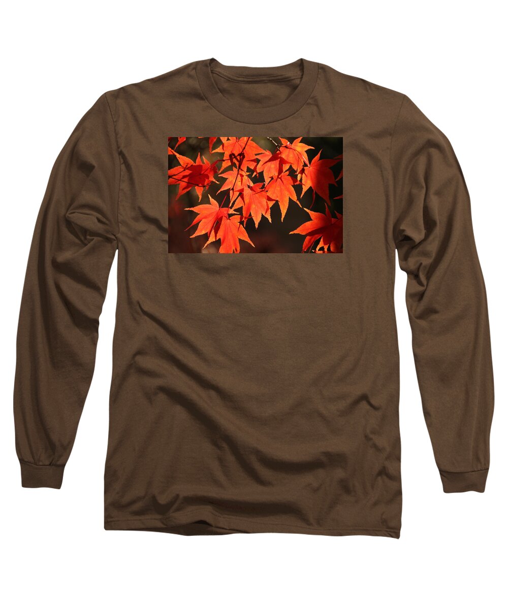 Japanese Maple Tree Long Sleeve T-Shirt featuring the photograph Japanese Maple Leaves in Fall by Valerie Collins