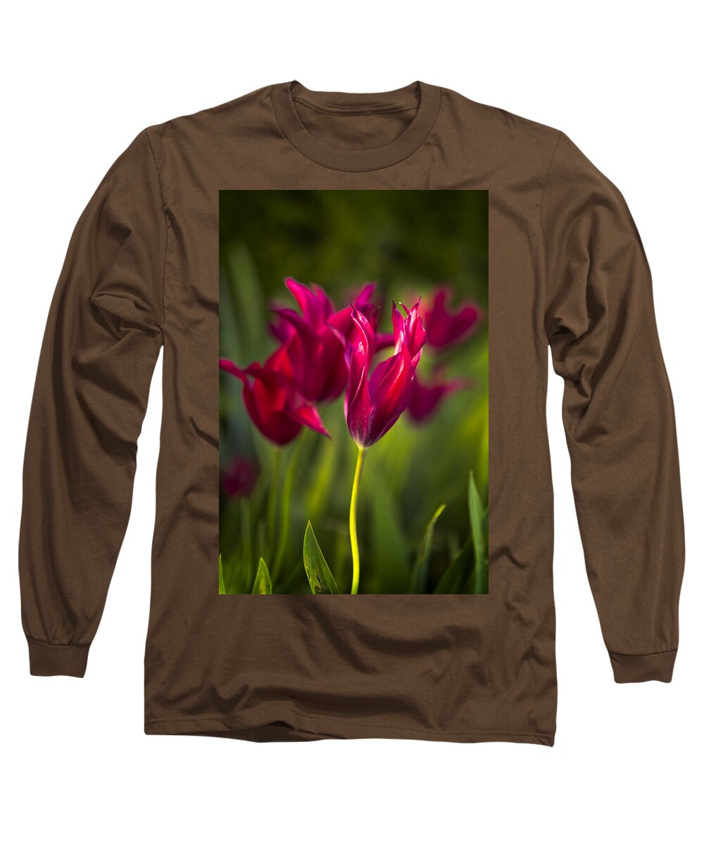 Tulip Long Sleeve T-Shirt featuring the photograph Red Tulips by Belinda Greb