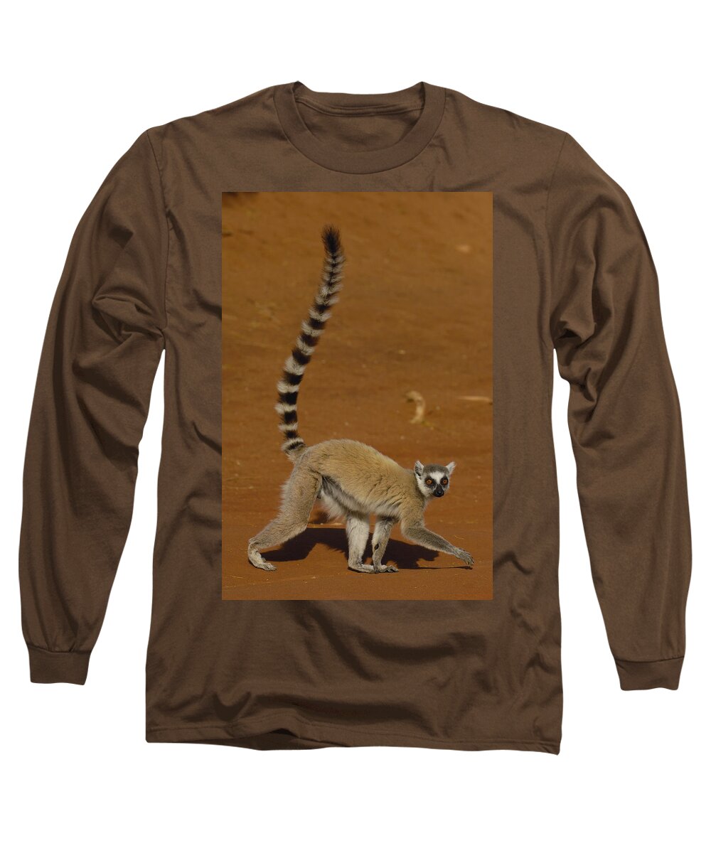 Feb0514 Long Sleeve T-Shirt featuring the photograph Ring-tailed Lemur Walking Berenty by Pete Oxford