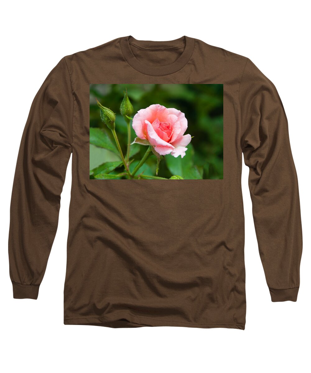 Rose Long Sleeve T-Shirt featuring the photograph Rose and Raindrops by Georgette Grossman