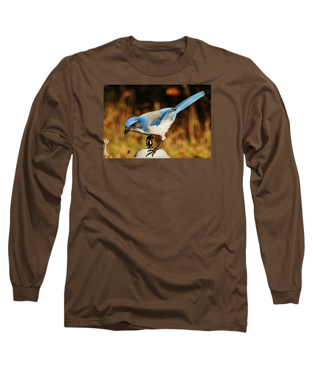 Jay Long Sleeve T-Shirt featuring the photograph Scrub Jay by VLee Watson