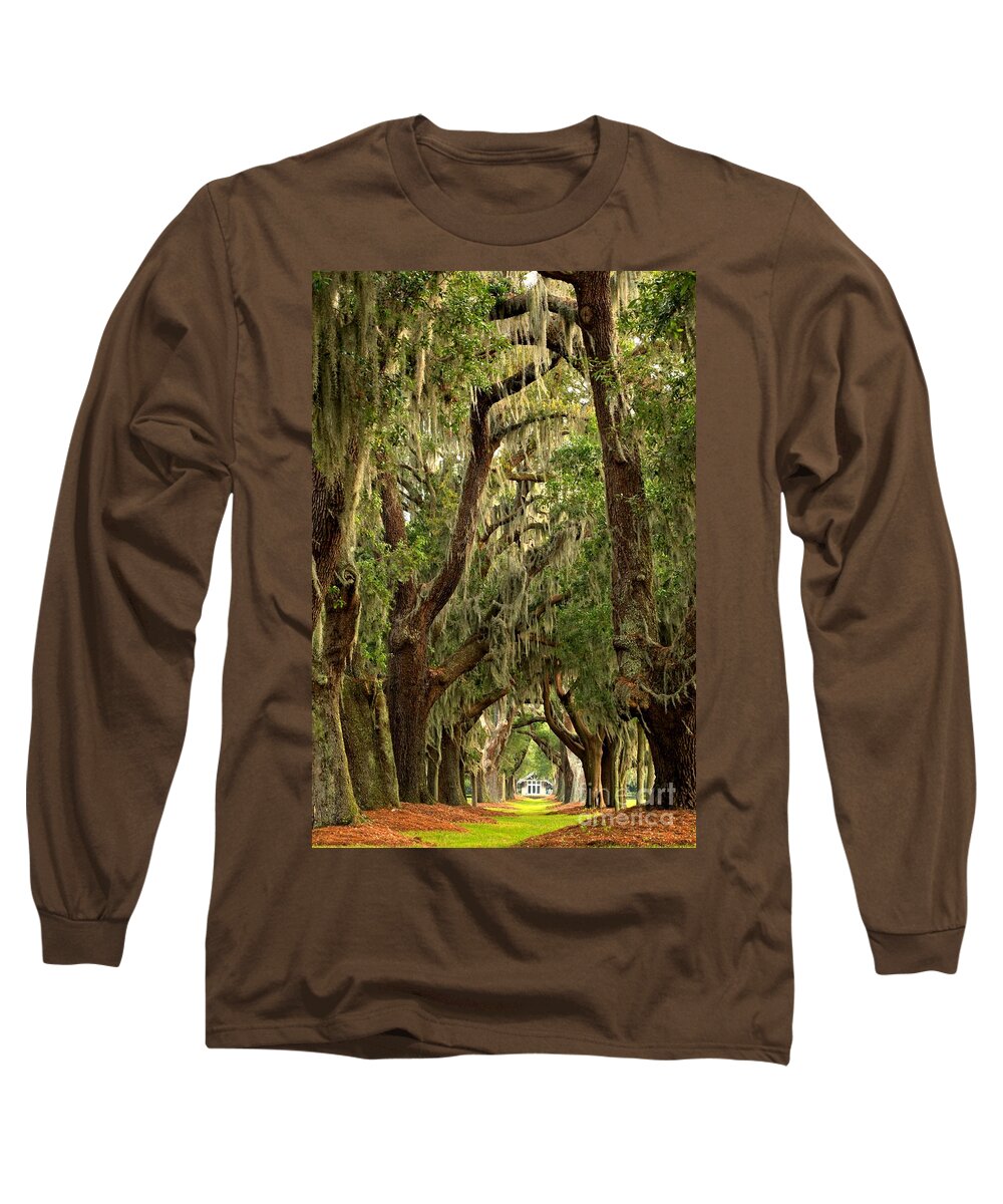 Avenue Of The Oaks Long Sleeve T-Shirt featuring the photograph Sea Island Oaks Portrait by Adam Jewell