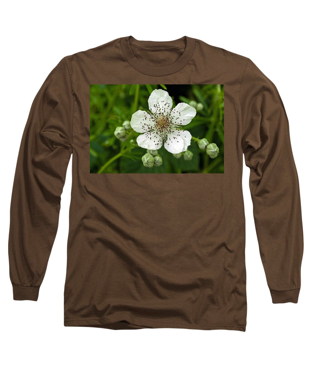 Fruit Long Sleeve T-Shirt featuring the photograph Single Blackberry Blossom by Tikvah's Hope