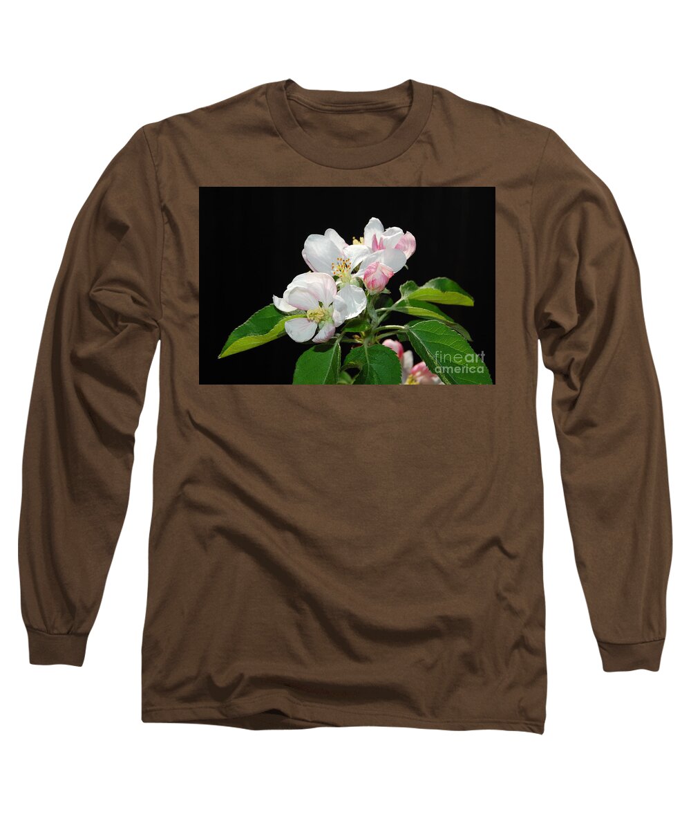 Blossom Long Sleeve T-Shirt featuring the photograph Spring Apple Blossoms by Debra Thompson