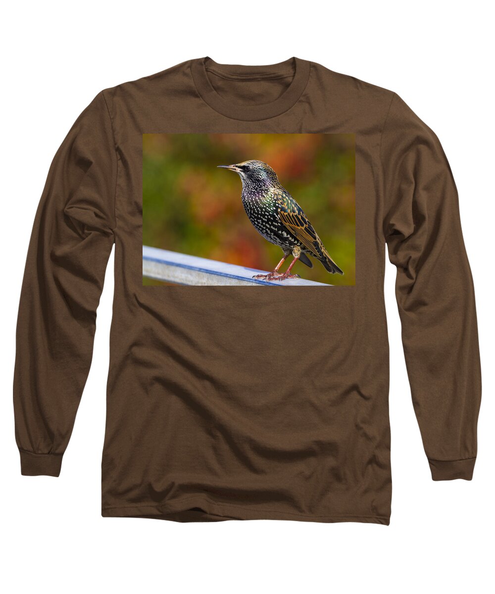Starling Long Sleeve T-Shirt featuring the photograph Starling Sturnus vulgaris by Chris Smith