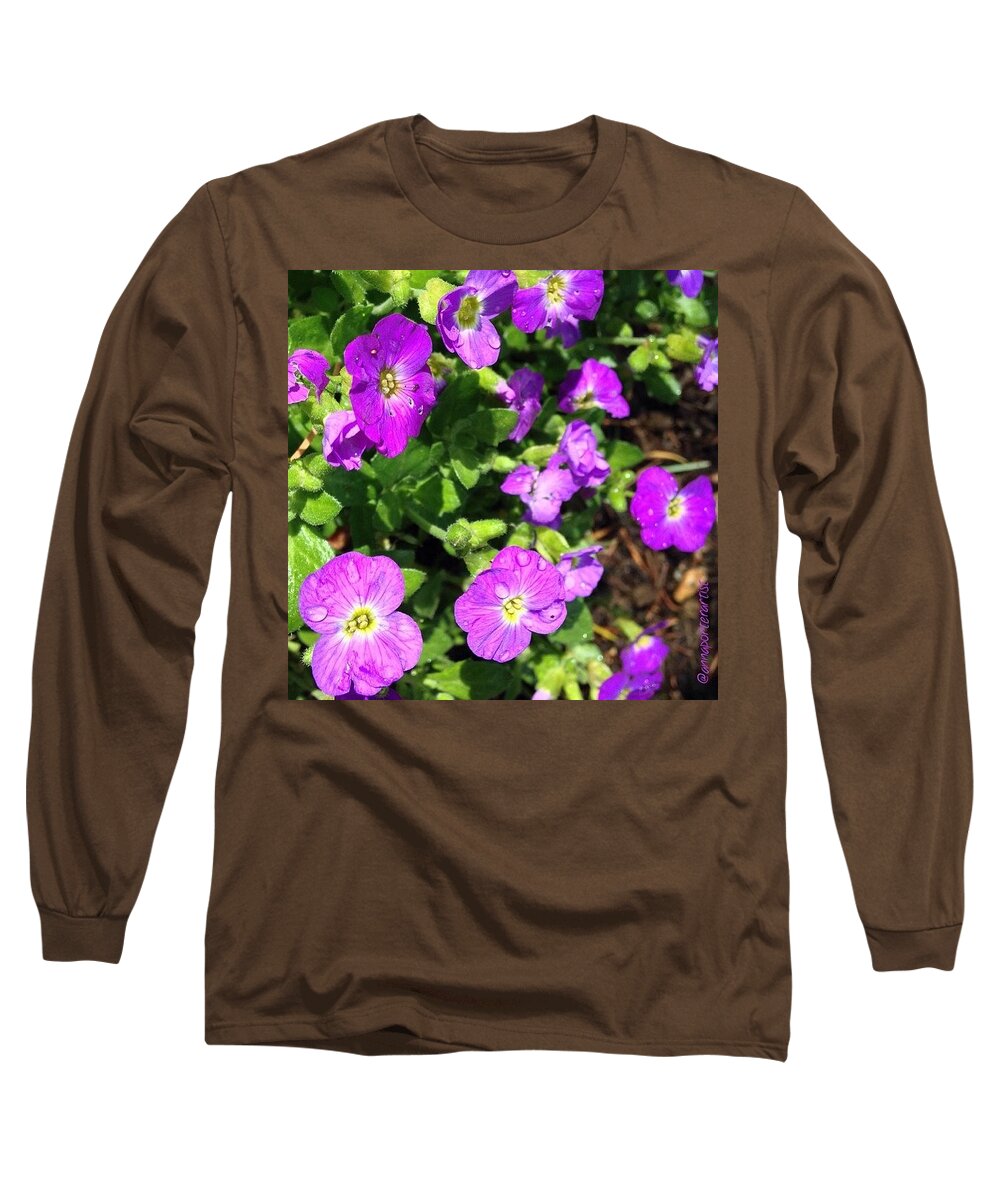 Purples_up Long Sleeve T-Shirt featuring the photograph Sunlight And Raindrops On Little Purple by Anna Porter