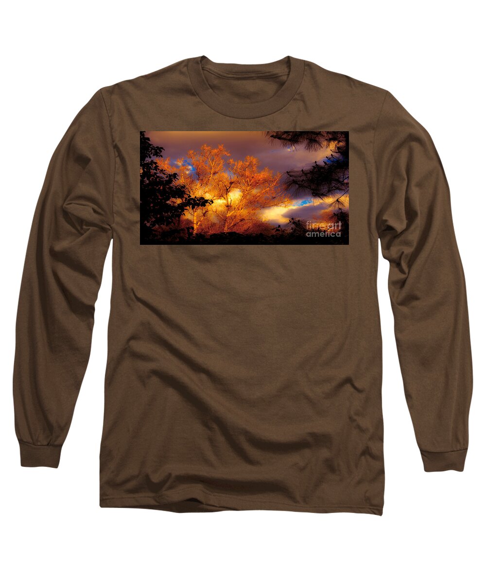 Sunshine On The Tree Tops After A Rain Storm Nature Fine Art Photography Print Long Sleeve T-Shirt featuring the photograph Sunshine On The Tree Tops After A Rain Storm by Jerry Cowart