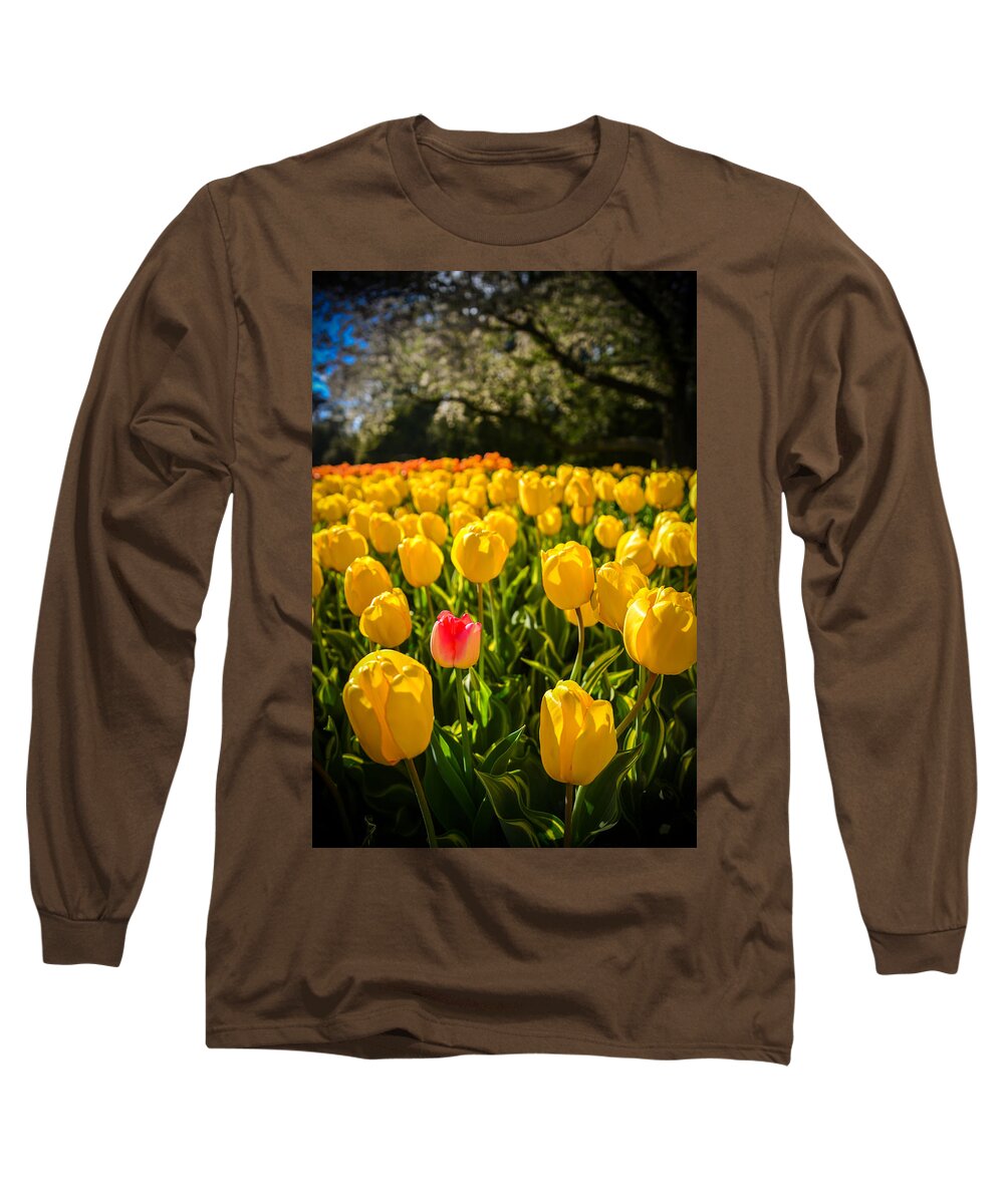 Pennsylvania Long Sleeve T-Shirt featuring the photograph Surrounded by Kristopher Schoenleber