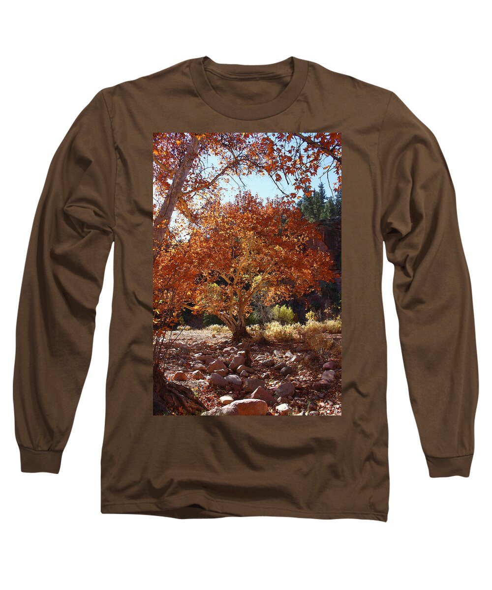 Sycamore Trees Long Sleeve T-Shirt featuring the photograph Sycamore Trees Fall Colors by Tom Janca