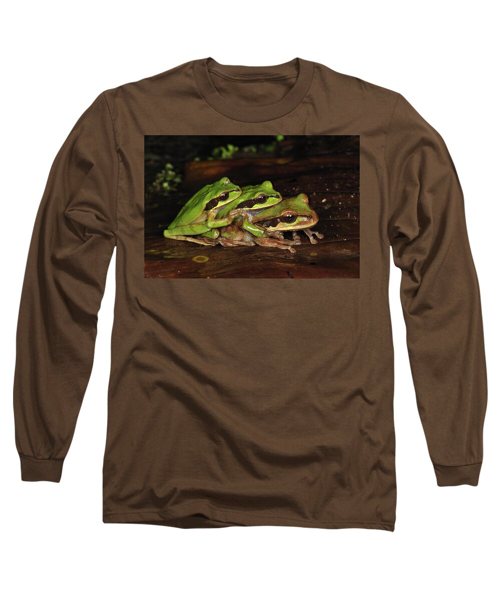 Feb0514 Long Sleeve T-Shirt featuring the photograph Tarraco Treefrogs In Amplexus Costa Rica by Thomas Marent