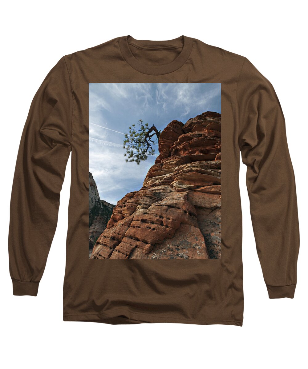 Pine Long Sleeve T-Shirt featuring the photograph Tenacity by Joe Schofield