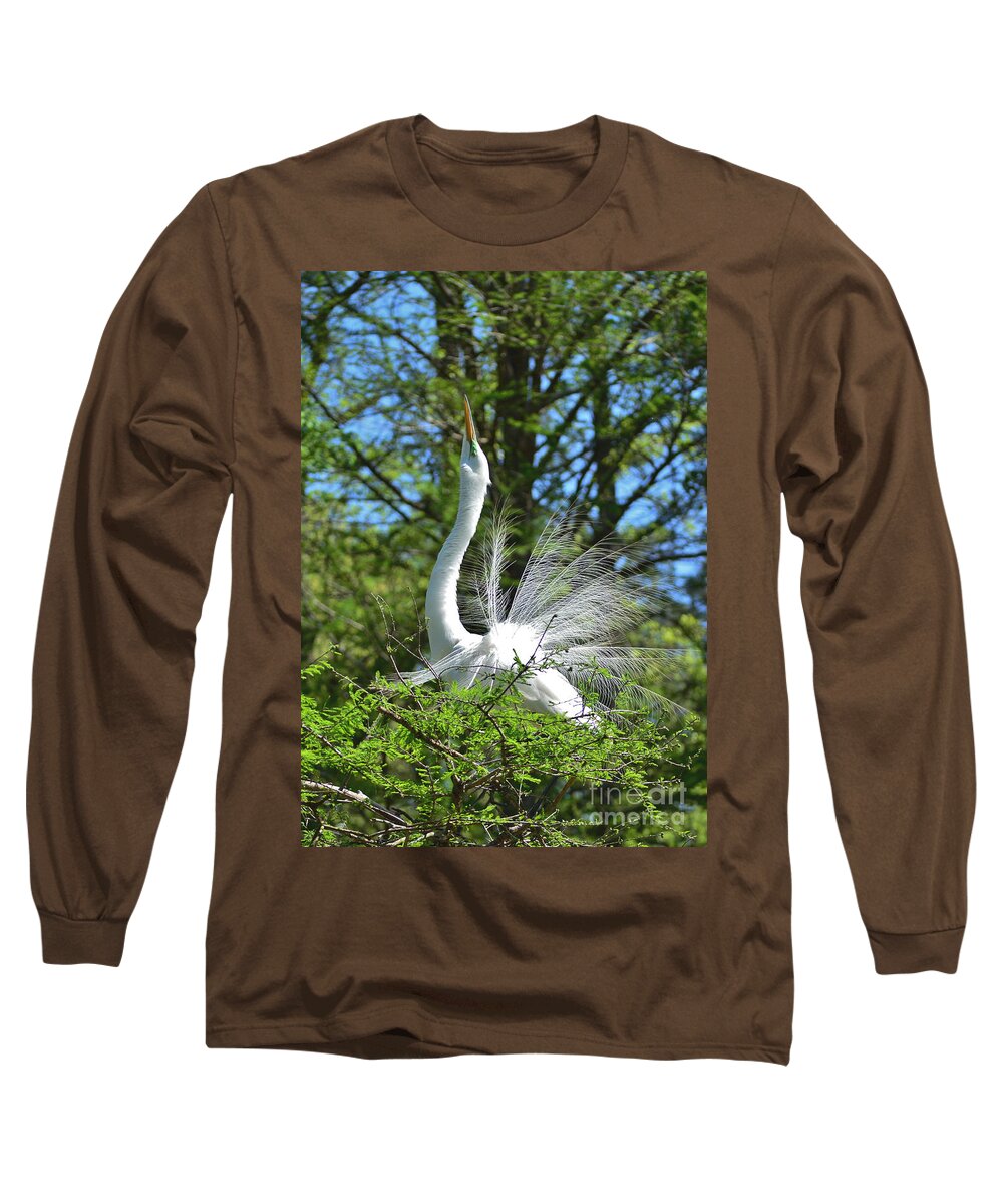 Egret Long Sleeve T-Shirt featuring the photograph The Big Stretch by Kathy Baccari