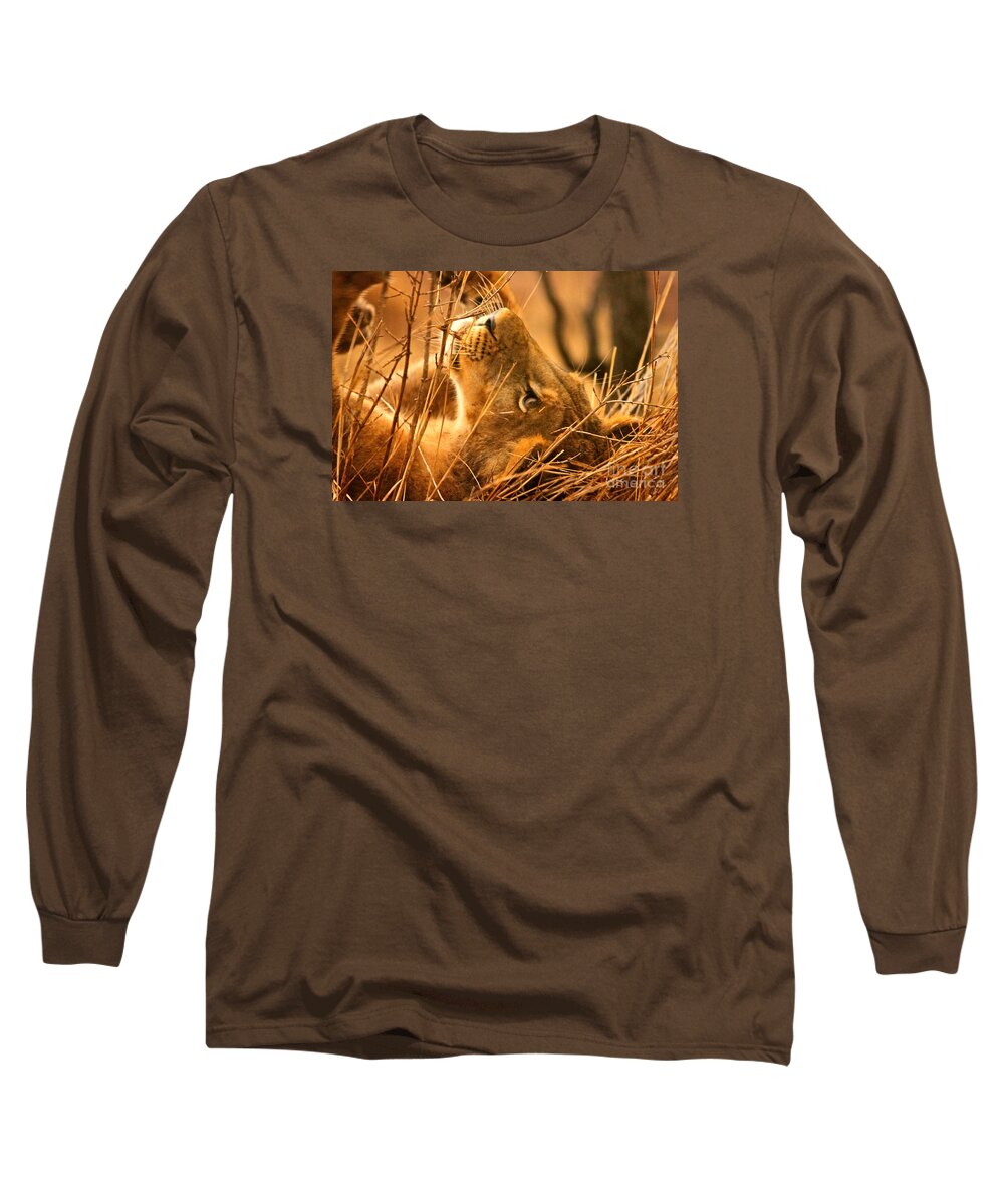 Lion Long Sleeve T-Shirt featuring the photograph The Lion Muse by Michael Cinnamond