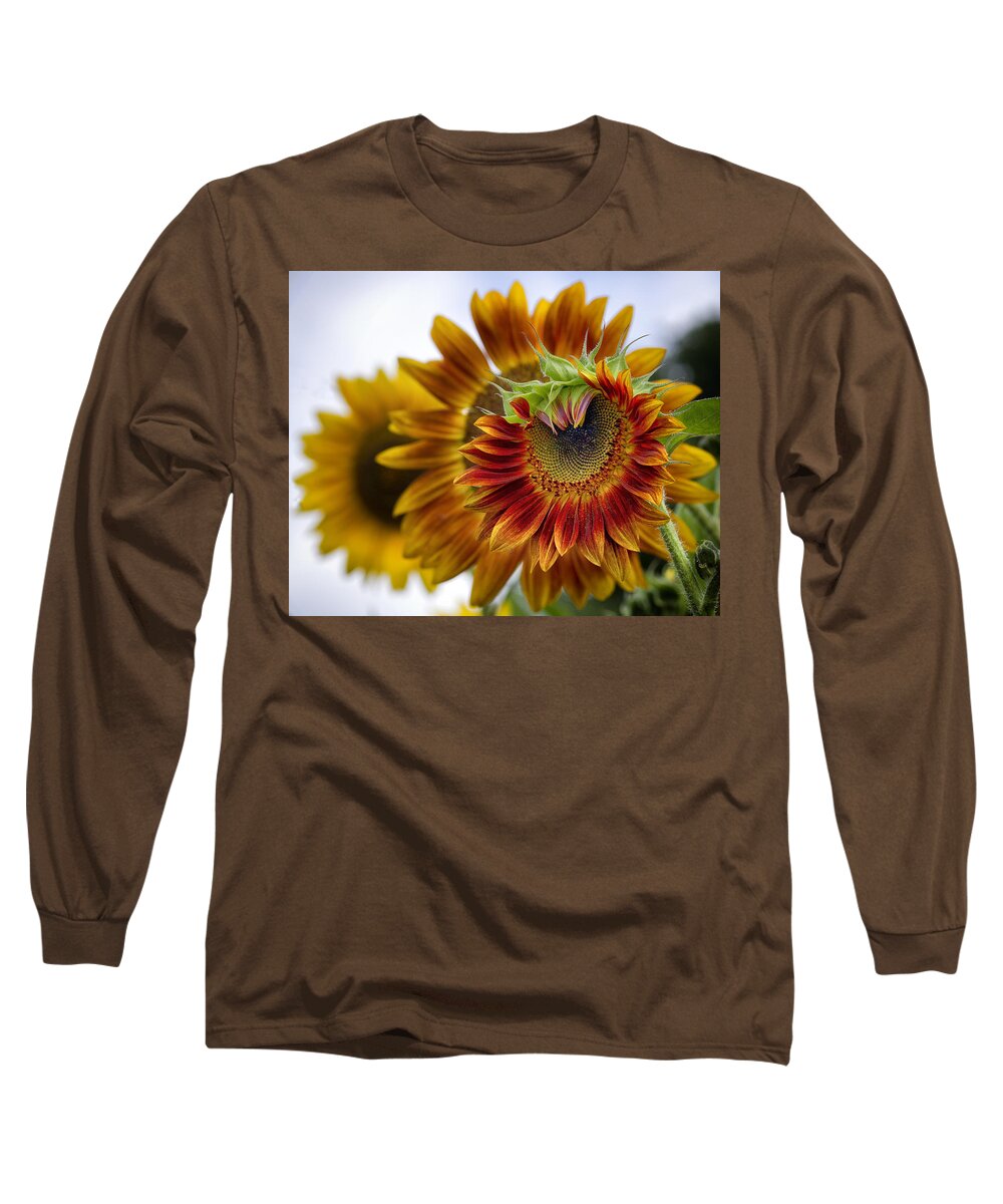 Summer Long Sleeve T-Shirt featuring the photograph Wheels within Wheels by Shirley Mitchell