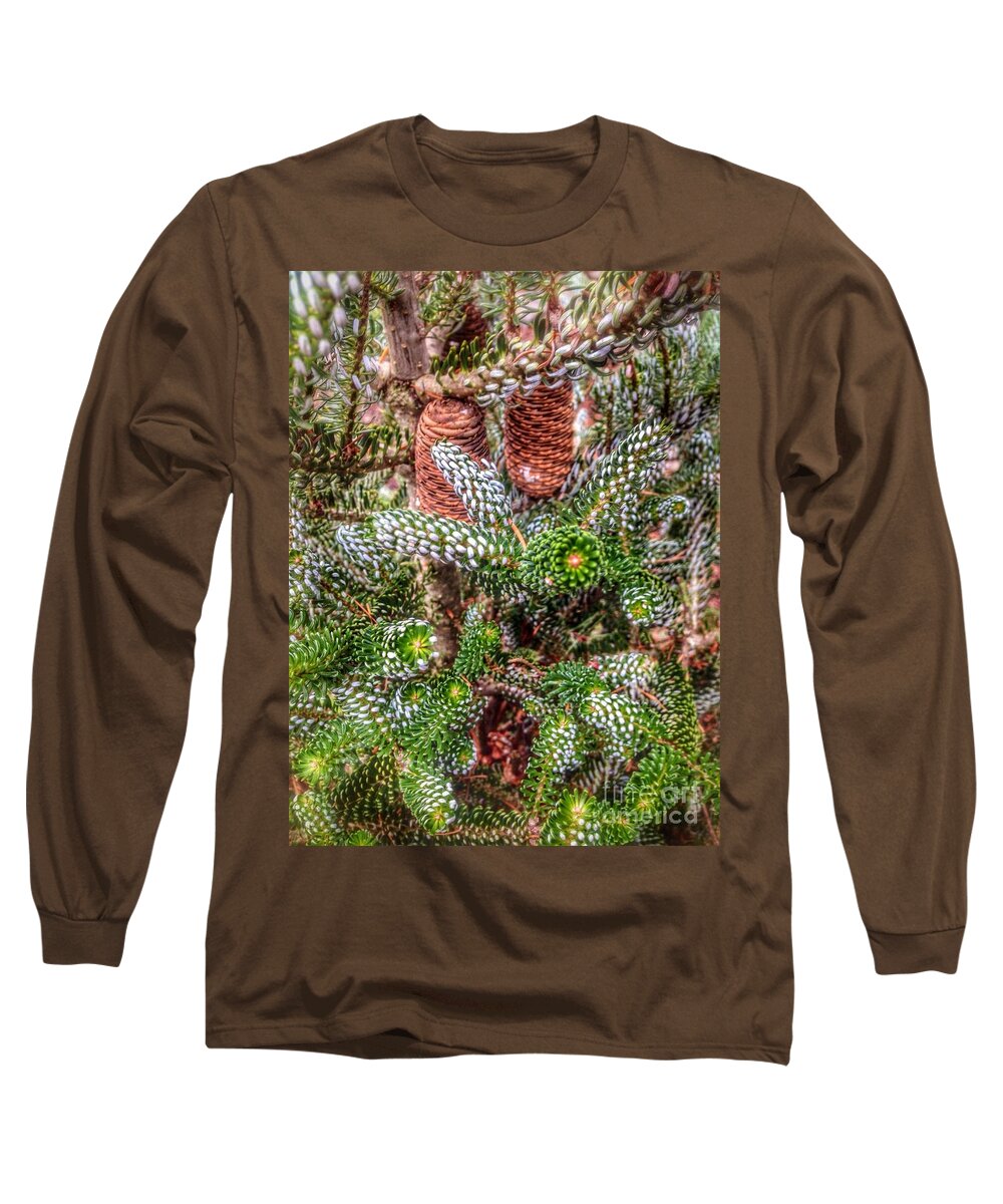 Winter Pine Long Sleeve T-Shirt featuring the photograph Winter Pine  by Susan Garren