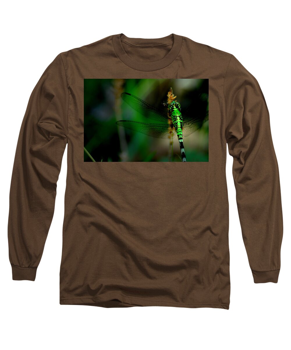 Dragonfly Long Sleeve T-Shirt featuring the photograph Wonderland by David Weeks