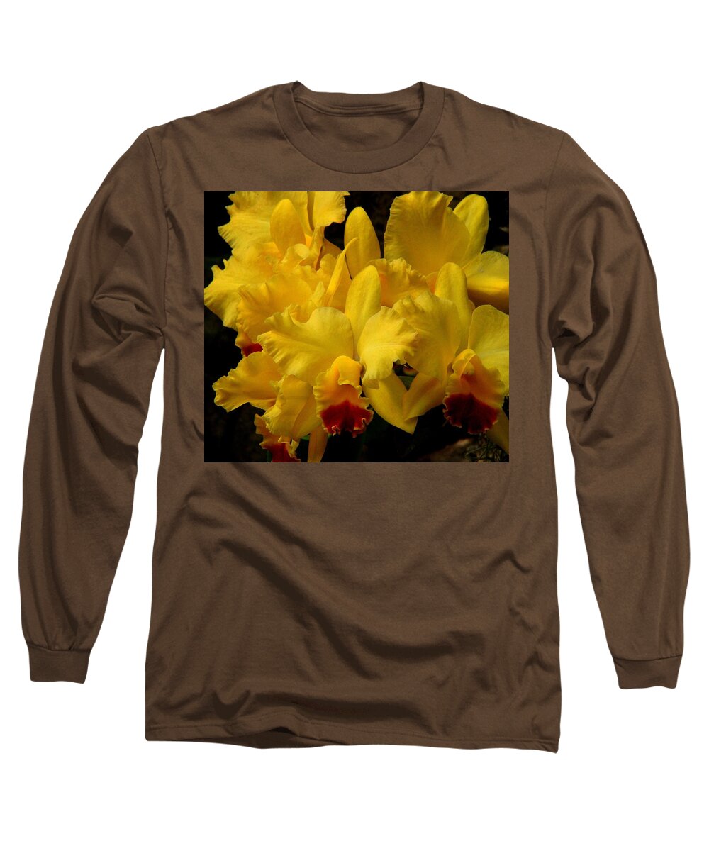 Fine Art Long Sleeve T-Shirt featuring the photograph Yellow Folds by Rodney Lee Williams